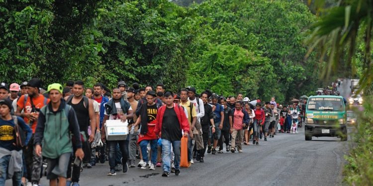 Imigrantes deixam lojas, plantações e prédios abandonados nos EUA e relatam perseguições: ‘Pessoas têm medo’