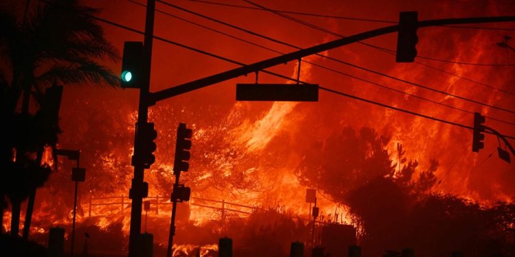Incêndio florestal cresce, causa pânico em subúrbio de Los Angeles e alerta de evacuação em massa; veja fotos