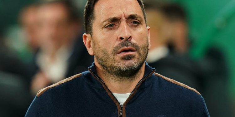 Botafogo encaminha a contratação do técnico Vasco Matos