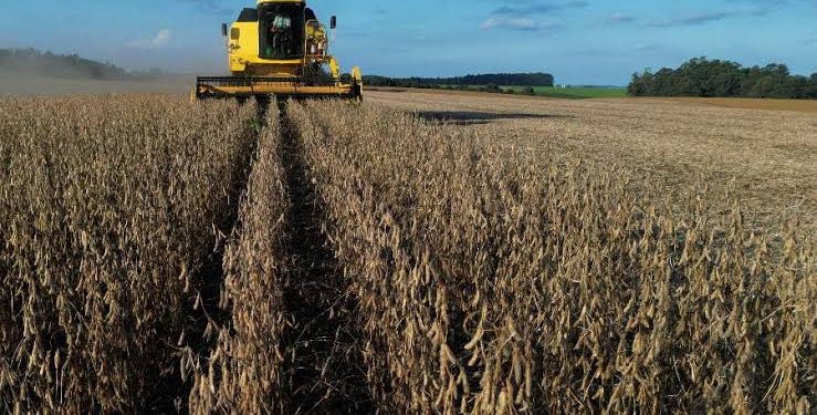 PIB do Brasil cresce 1,4% com impulso da agropecuária no primeiro trimestre de 2025