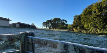 Nova onda de frio começa nesta segunda; Sul deve registrar temperaturas negativas
