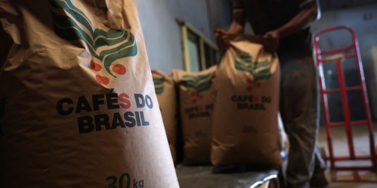 Exportação de café: decreto de Trump e aceno a Lula renovam otimismo do setor por isenção de tarifas