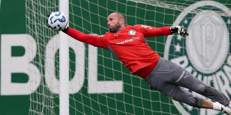 Goleiro mais caro da história do Palmeiras, Carlos Miguel deve estrear em sequência decisiva