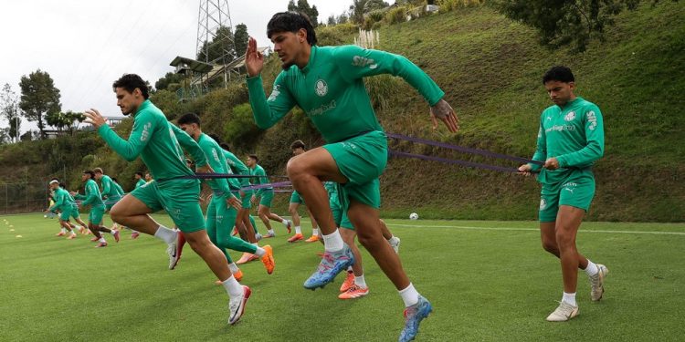 Entenda como e por que altitude muda estilo de jogo do Palmeiras